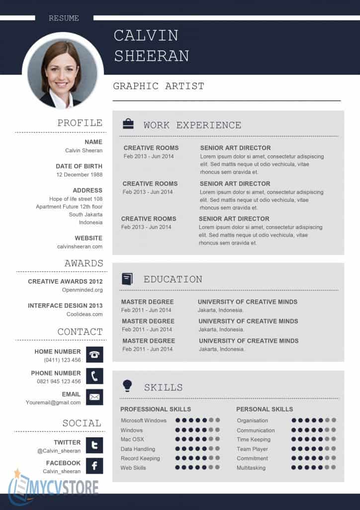 professional cv ms word template  download for word