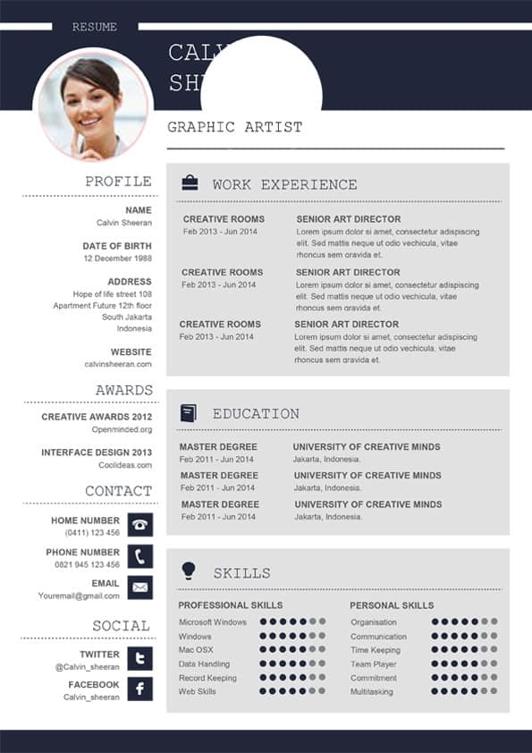 professional cv ms word template