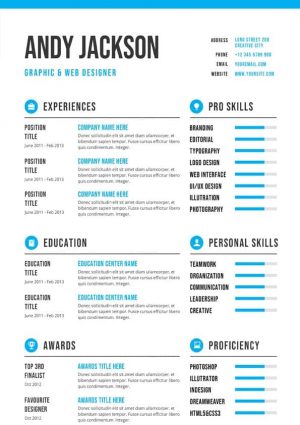 Professional & Clean CV Template