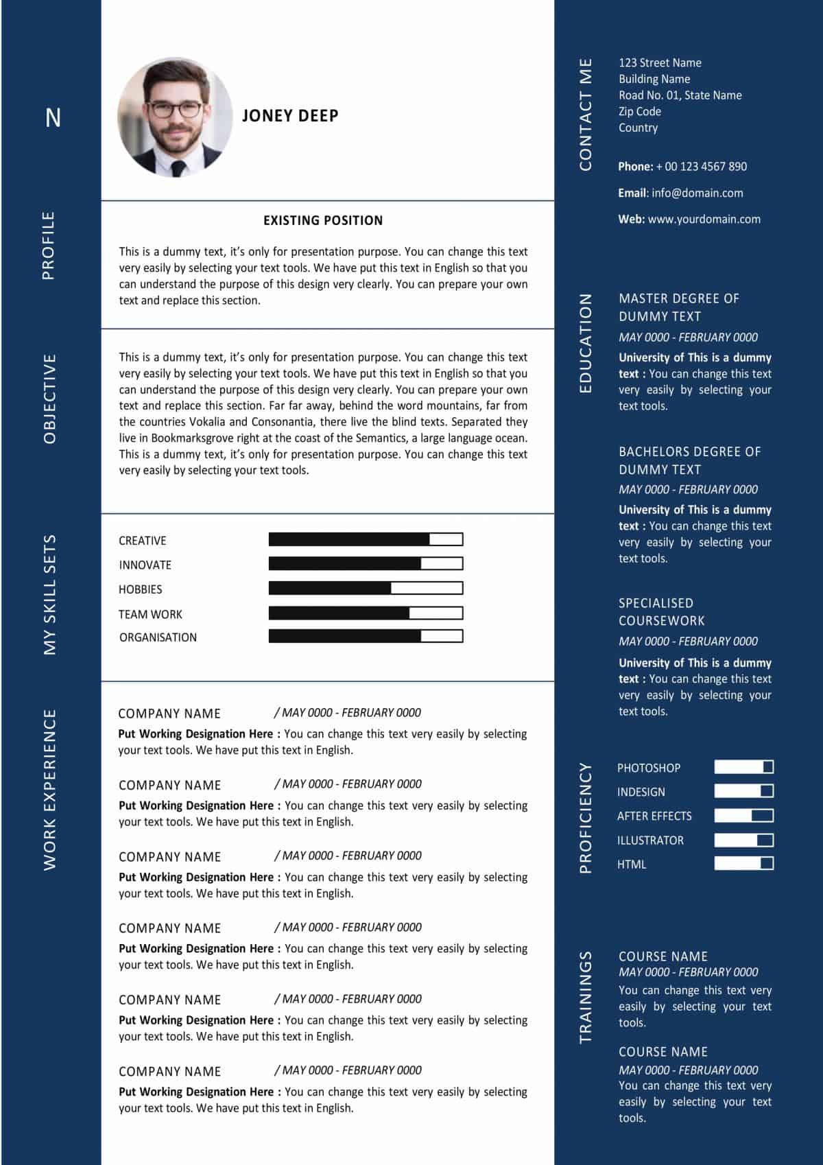 professional summary for resume design