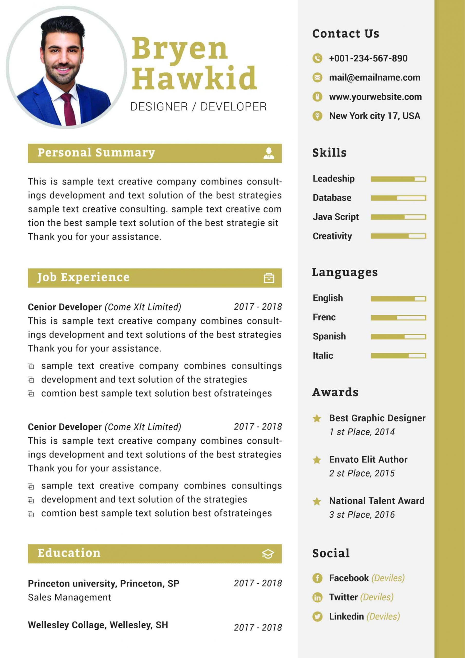 Modern Design  Manager CV  Template Download Resume Templates