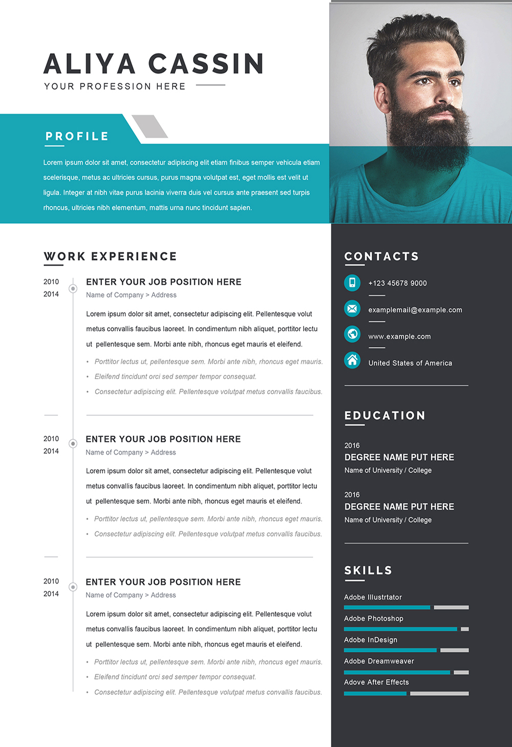 Cv Format Word Best CV Templates Word Your Modern Professional Cv 