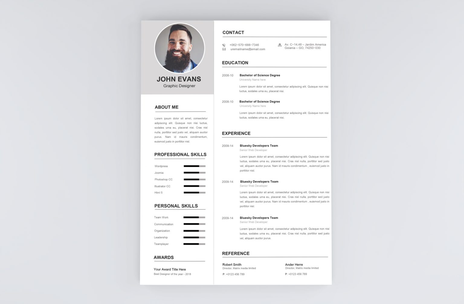 resume format 2021 examples