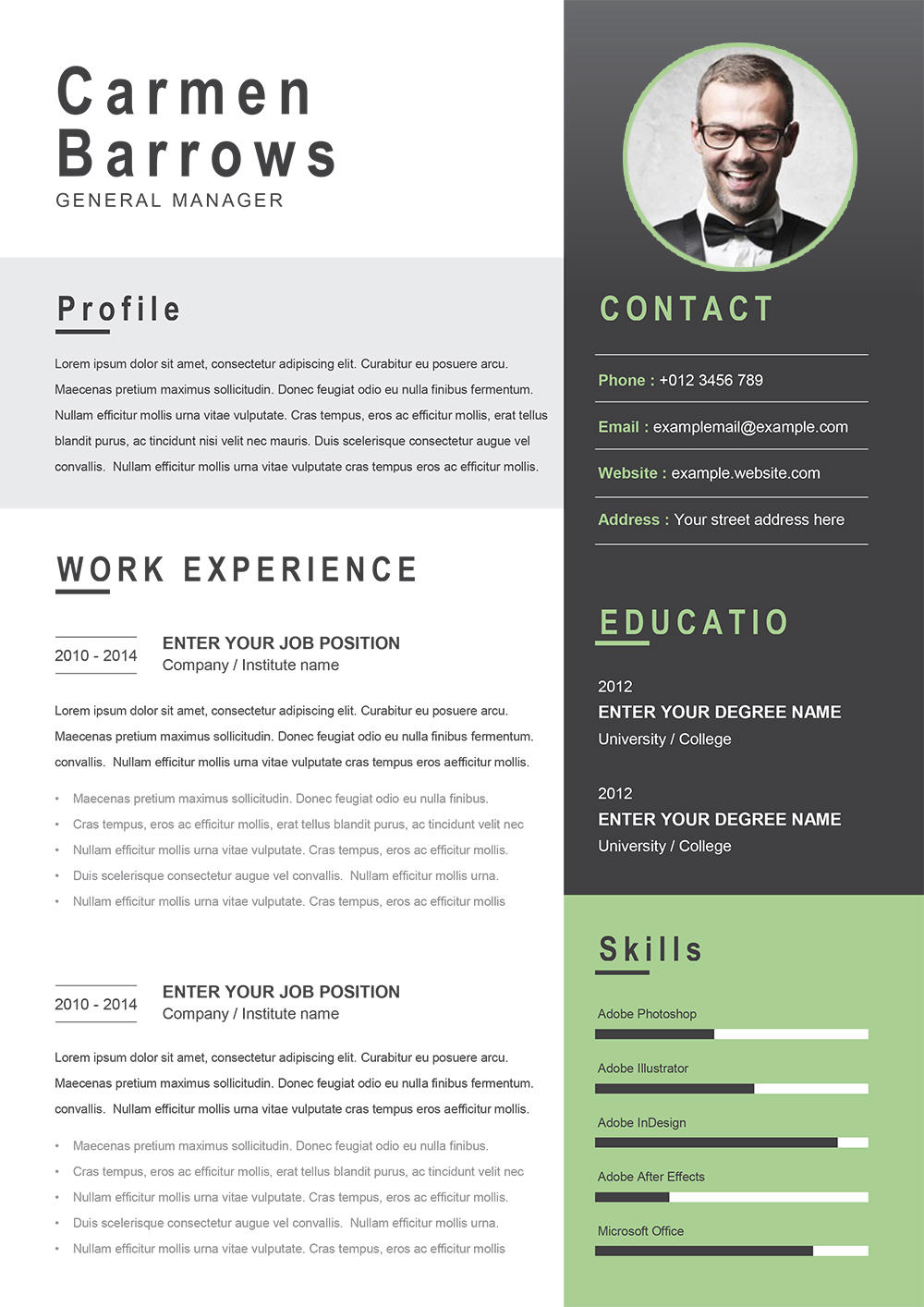 project manager cv template word free download