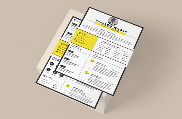 Clean Professional Word Resume